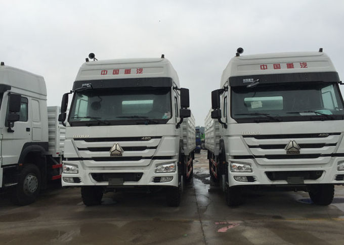 Véhicules de fret économiques légers des marchandises HOWO 25 tonnes de couchette de 10Wheels LHD 290 HP deux