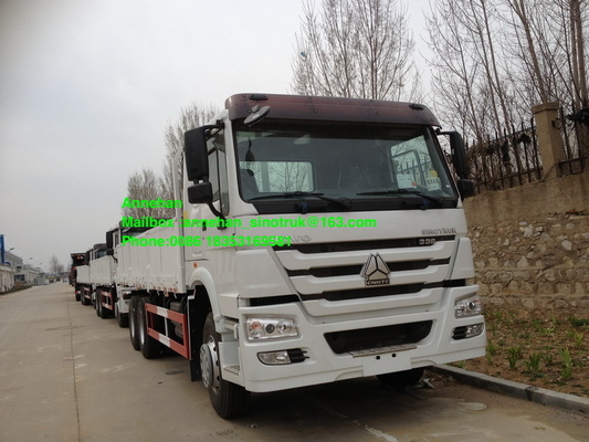 Sinotruk 40T Stander 336hp 10 roule le camion lourd de cargaison
