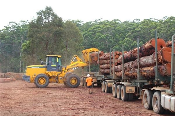 Les machines de levage de construction lourde du poids 20000KGS avec 6Tons actionnent le poids