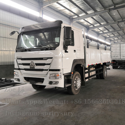 Camion lourd de faible puissance Lorry Van Goods de boîte du camion 290HP de la cargaison 4x2 de Sinotruk HOWO