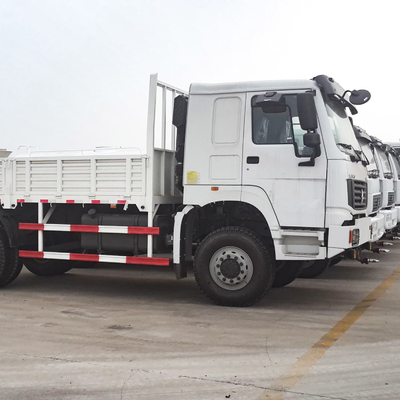 Camion lourd de faible puissance Lorry Van Goods de boîte du camion 290HP de la cargaison 4x2 de Sinotruk HOWO